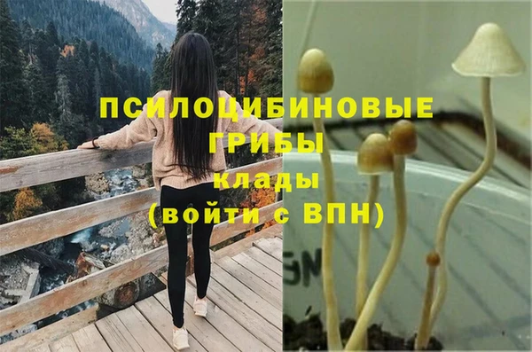 spice Алзамай