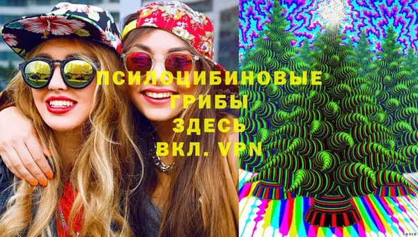 spice Алзамай
