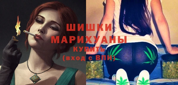ALPHA PVP Коряжма