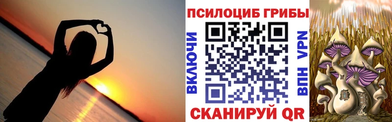 ОМГ ОМГ вход  Орехово-Зуево  Галлюциногенные грибы ЛСД 
